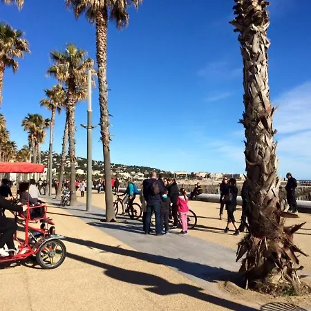 à Avec Piscine, Terrasse, Parking Privé, à 1km De La - Fr-1-338-504 Sète